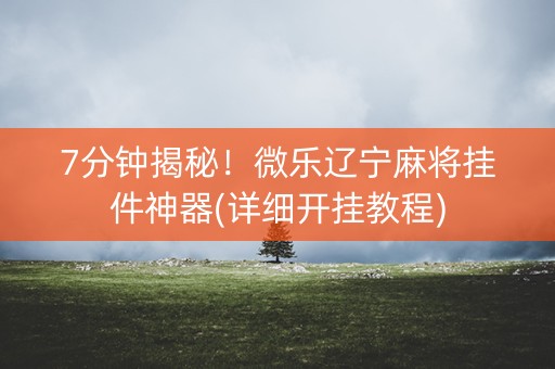 7分钟揭秘！微乐辽宁麻将挂件神器(详细开挂教程)