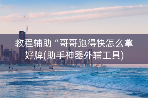 教程辅助“哥哥跑得快怎么拿好牌(助手神器外辅工具)