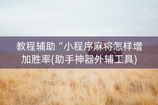 教程辅助“小程序麻将怎样增加胜率(助手神器外辅工具)