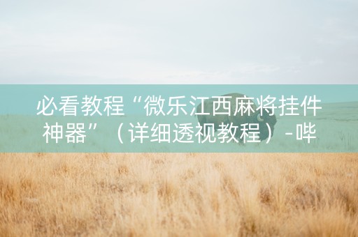 必看教程“微乐江西麻将挂件神器”（详细透视教程）-哔哩哔哩