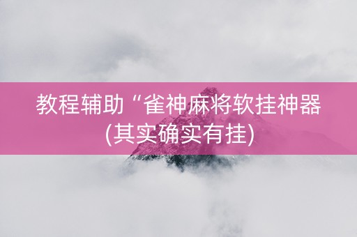 教程辅助“雀神麻将软挂神器(其实确实有挂)