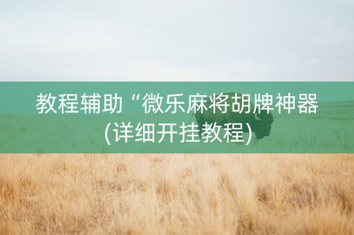 教程辅助“微乐麻将胡牌神器(详细开挂教程)