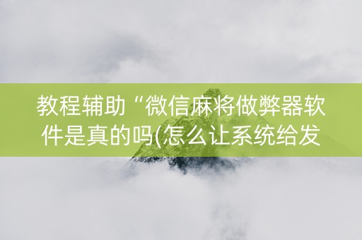 教程辅助“微信麻将做弊器软件是真的吗(怎么让系统给发好牌)