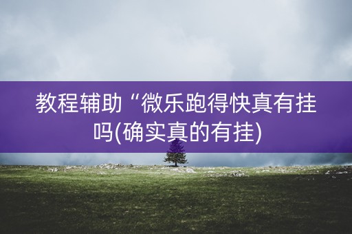 教程辅助“微乐跑得快真有挂吗(确实真的有挂)