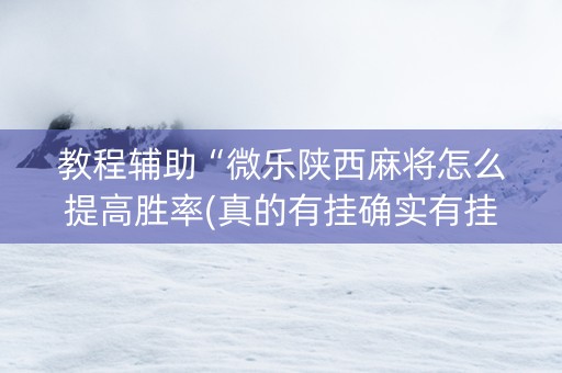 教程辅助“微乐陕西麻将怎么提高胜率(真的有挂确实有挂)