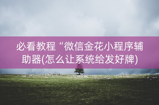 必看教程“微信金花小程序辅助器(怎么让系统给发好牌)