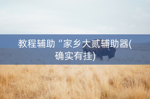 教程辅助“家乡大贰辅助器(确实有挂)