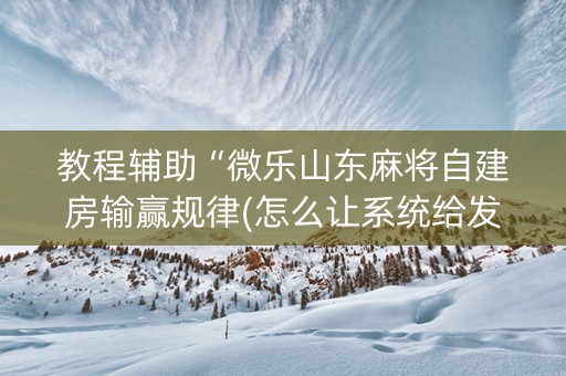 教程辅助“微乐山东麻将自建房输赢规律(怎么让系统给发好牌)