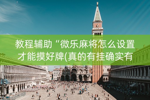 教程辅助“微乐麻将怎么设置才能摸好牌(真的有挂确实有挂)