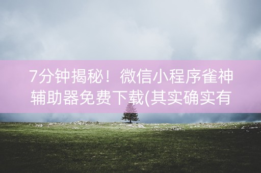 7分钟揭秘！微信小程序雀神辅助器免费下载(其实确实有挂)