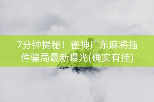 7分钟揭秘！雀神广东麻将插件骗局最新曝光(确实有挂)