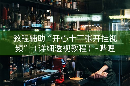 教程辅助“开心十三张开挂视频”（详细透视教程）-哔哩哔哩