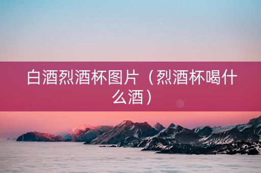 白酒烈酒杯图片（烈酒杯喝什么酒）