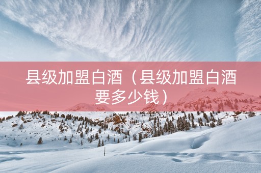 县级加盟白酒（县级加盟白酒要多少钱）