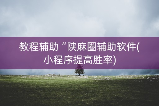 教程辅助“陕麻圈辅助软件(小程序提高胜率)
