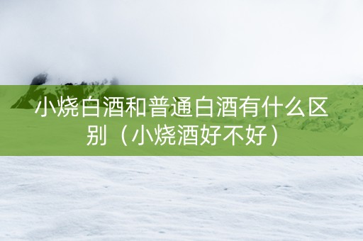 小烧白酒和普通白酒有什么区别（小烧酒好不好）