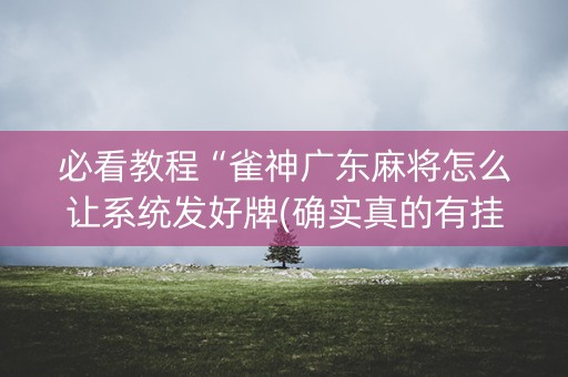 必看教程“雀神广东麻将怎么让系统发好牌(确实真的有挂)