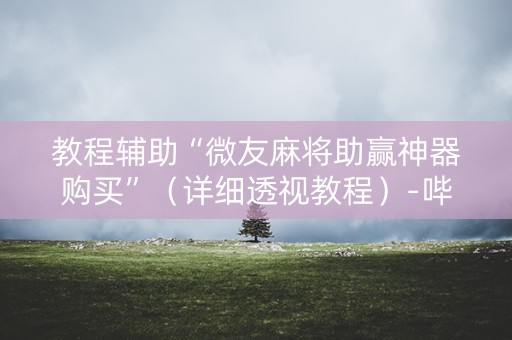 教程辅助“微友麻将助赢神器购买”（详细透视教程）-哔哩哔哩