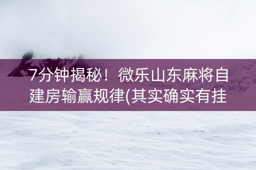 7分钟揭秘！微乐山东麻将自建房输赢规律(其实确实有挂)