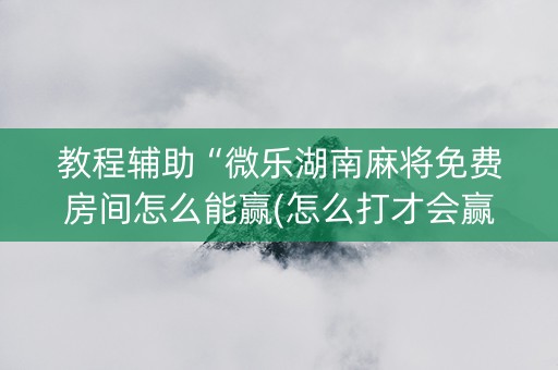 教程辅助“微乐湖南麻将免费房间怎么能赢(怎么打才会赢)