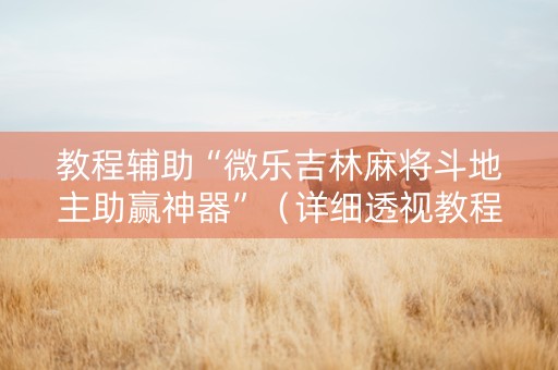 教程辅助“微乐吉林麻将斗地主助赢神器”（详细透视教程）-哔哩哔哩