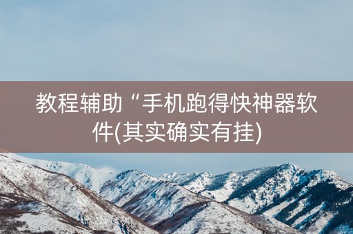 教程辅助“手机跑得快神器软件(其实确实有挂)