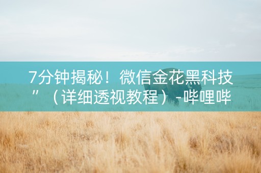 7分钟揭秘！微信金花黑科技”（详细透视教程）-哔哩哔哩
