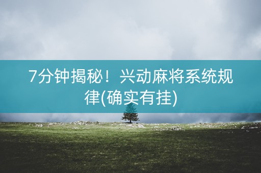 7分钟揭秘！兴动麻将系统规律(确实有挂)