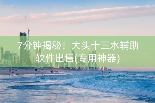 7分钟揭秘！大头十三水辅助软件出售(专用神器)