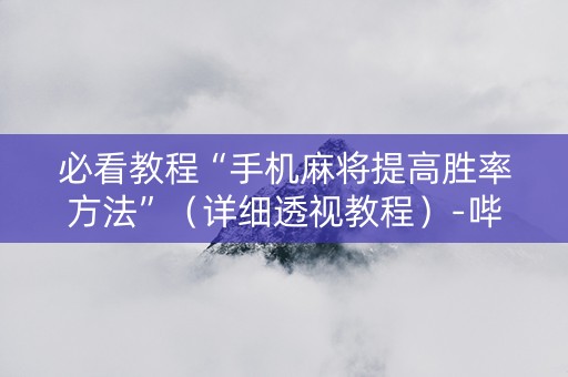 必看教程“手机麻将提高胜率方法”（详细透视教程）-哔哩哔哩