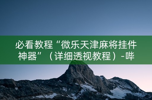 必看教程“微乐天津麻将挂件神器”（详细透视教程）-哔哩哔哩