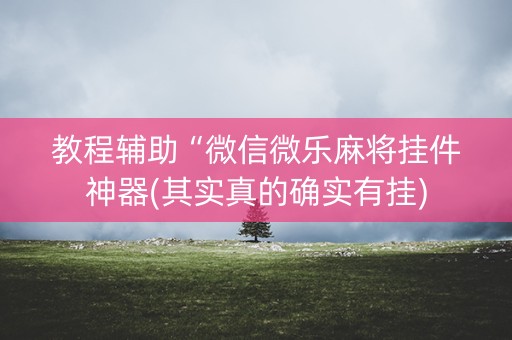 教程辅助“微信微乐麻将挂件神器(其实真的确实有挂)
