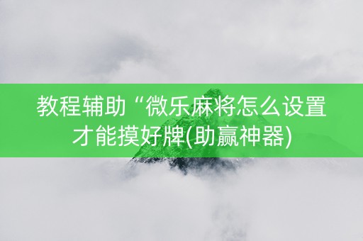 教程辅助“微乐麻将怎么设置才能摸好牌(助赢神器)