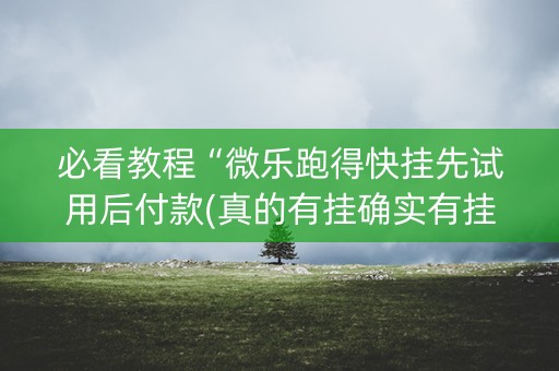 必看教程“微乐跑得快挂先试用后付款(真的有挂确实有挂)