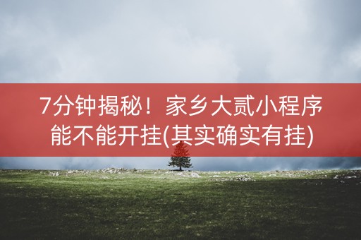 7分钟揭秘！家乡大贰小程序能不能开挂(其实确实有挂)