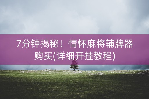 7分钟揭秘！情怀麻将辅牌器购买(详细开挂教程)