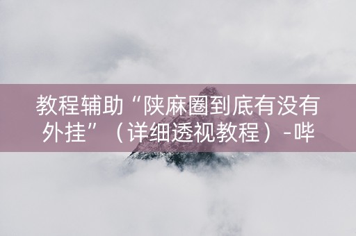 教程辅助“陕麻圈到底有没有外挂”（详细透视教程）-哔哩哔哩
