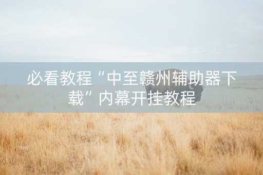 必看教程“中至赣州辅助器下载”内幕开挂教程
