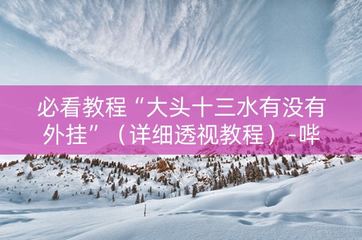 必看教程“大头十三水有没有外挂”（详细透视教程）-哔哩哔哩