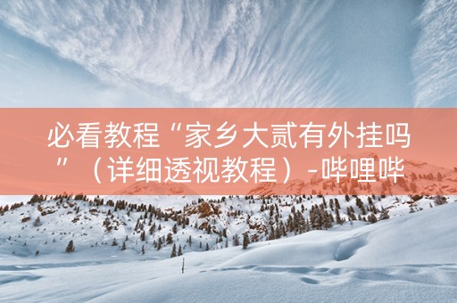 必看教程“家乡大贰有外挂吗”（详细透视教程）-哔哩哔哩