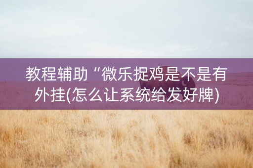 教程辅助“微乐捉鸡是不是有外挂(怎么让系统给发好牌)