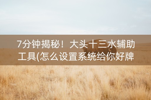 7分钟揭秘！大头十三水辅助工具(怎么设置系统给你好牌)