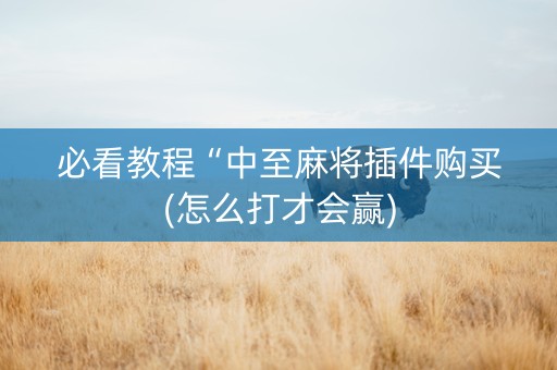 必看教程“中至麻将插件购买(怎么打才会赢)