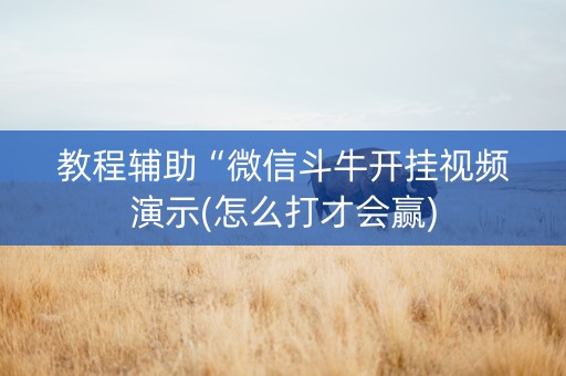 教程辅助“微信斗牛开挂视频演示(怎么打才会赢)