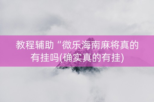 教程辅助“微乐海南麻将真的有挂吗(确实真的有挂)
