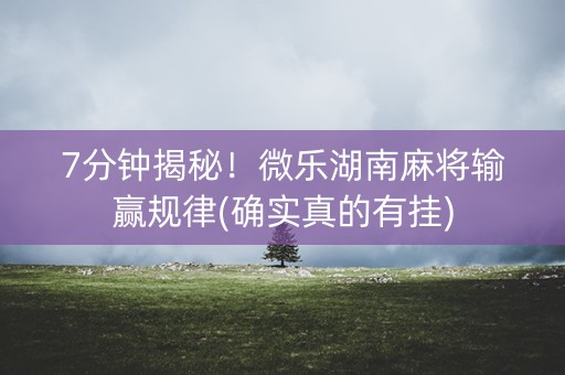 7分钟揭秘！微乐湖南麻将输赢规律(确实真的有挂)