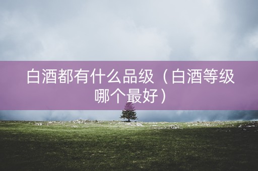 白酒都有什么品级（白酒等级哪个最好）