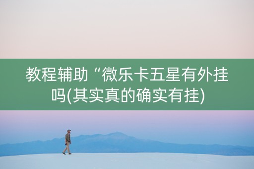 教程辅助“微乐卡五星有外挂吗(其实真的确实有挂)