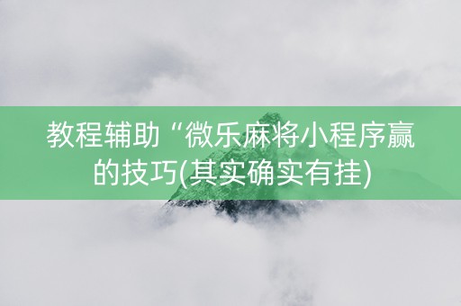 教程辅助“微乐麻将小程序赢的技巧(其实确实有挂)