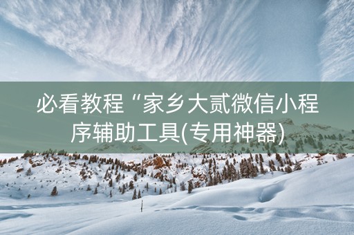 必看教程“家乡大贰微信小程序辅助工具(专用神器)